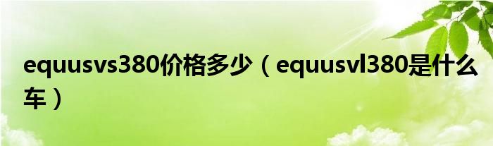 equusvs380价格多少（equusvl380是什么车）