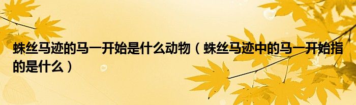 蛛丝马迹的马一开始是什么动物（蛛丝马迹中的马一开始指的是什么）