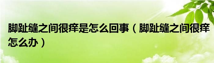 脚趾缝之间很痒是怎么回事（脚趾缝之间很痒怎么办）