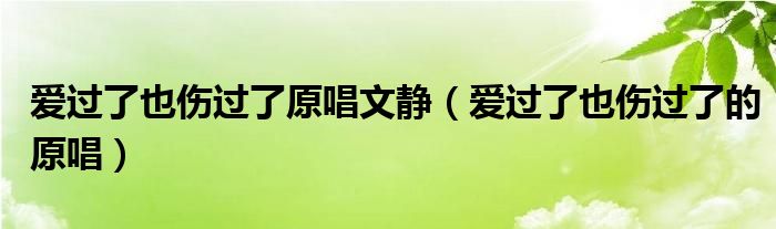 爱过了也伤过了原唱文静（爱过了也伤过了的原唱）