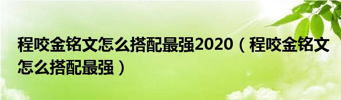 程咬金铭文怎么搭配最强2020（程咬金铭文怎么搭配最强）