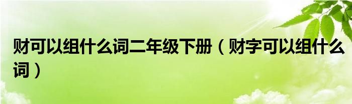 财可以组什么词二年级下册（财字可以组什么词）