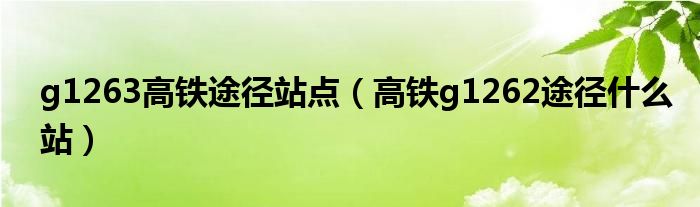 g1263高铁途径站点（高铁g1262途径什么站）