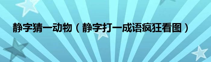 静字猜一动物（静字打一成语疯狂看图）