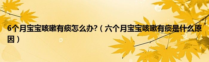 6个月宝宝咳嗽有痰怎么办?（六个月宝宝咳嗽有痰是什么原因）