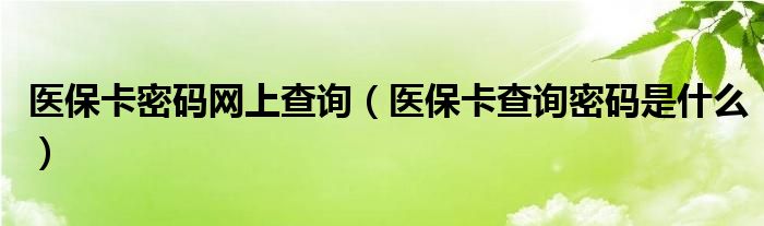 医保卡密码网上查询（医保卡查询密码是什么）