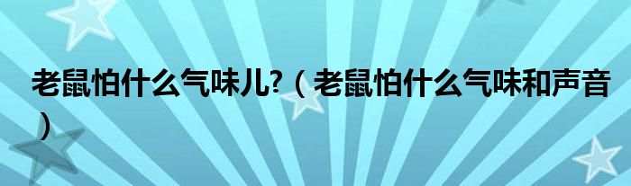 老鼠怕什么气味儿?（老鼠怕什么气味和声音）