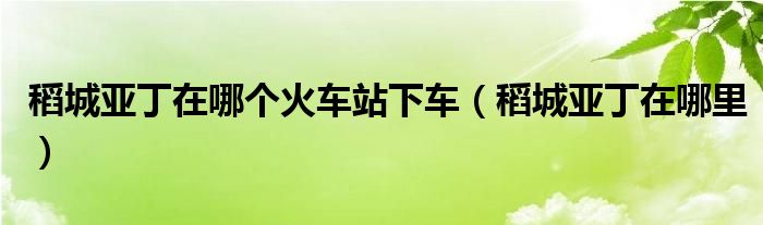 稻城亚丁在哪个火车站下车（稻城亚丁在哪里）