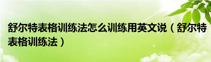 舒尔特表格训练法怎么训练用英文说（舒尔特表格训练法）