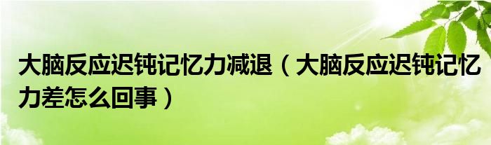 大脑反应迟钝记忆力减退（大脑反应迟钝记忆力差怎么回事）