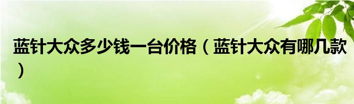 蓝针大众多少钱一台价格（蓝针大众有哪几款）