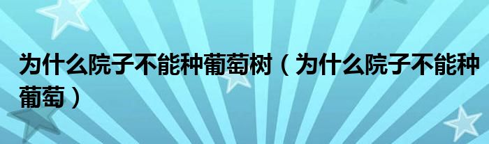 为什么院子不能种葡萄树（为什么院子不能种葡萄）