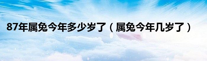 87年属兔今年多少岁了（属兔今年几岁了）