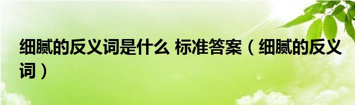 细腻的反义词是什么 标准答案（细腻的反义词）