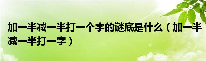 加一半减一半打一个字的谜底是什么（加一半减一半打一字）