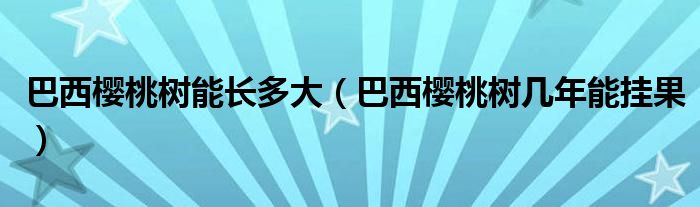 巴西樱桃树能长多大（巴西樱桃树几年能挂果）