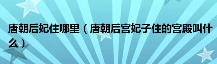 唐朝后妃住哪里（唐朝后宫妃子住的宫殿叫什么）