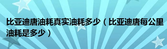 比亚迪唐油耗真实油耗多少（比亚迪唐每公里油耗是多少）