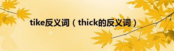 tike反义词（thick的反义词）