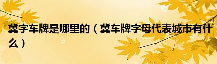 冀字车牌是哪里的（冀车牌字母代表城市有什么）