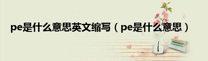 pe是什么意思英文缩写（pe是什么意思）