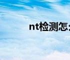 nt检测怎么查（NT检查怎么查）