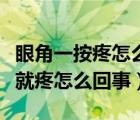 眼角一按疼怎么回事用什么眼药水（眼角一按就疼怎么回事）