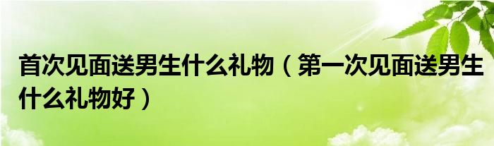 首次见面送男生什么礼物（第一次见面送男生什么礼物好）