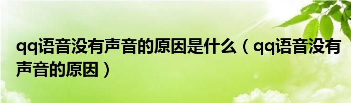 qq语音没有声音的原因是什么（qq语音没有声音的原因）