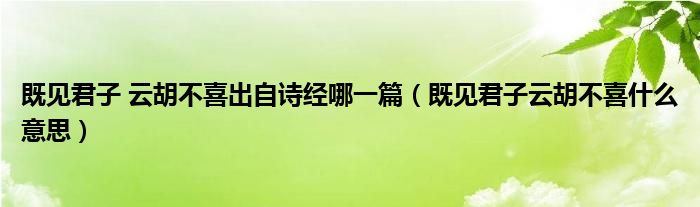 既见君子 云胡不喜出自诗经哪一篇（既见君子云胡不喜什么意思）