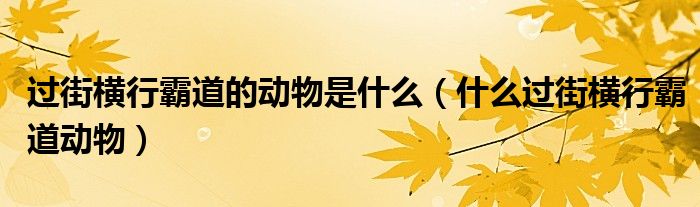 过街横行霸道的动物是什么（什么过街横行霸道动物）