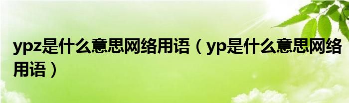 ypz是什么意思网络用语（yp是什么意思网络用语）