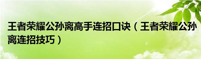 王者荣耀公孙离高手连招口诀（王者荣耀公孙离连招技巧）