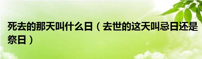 死去的那天叫什么日（去世的这天叫忌日还是祭日）