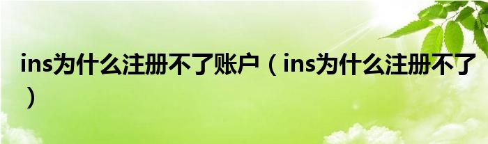 ins为什么注册不了账户（ins为什么注册不了）