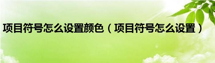 项目符号怎么设置颜色（项目符号怎么设置）