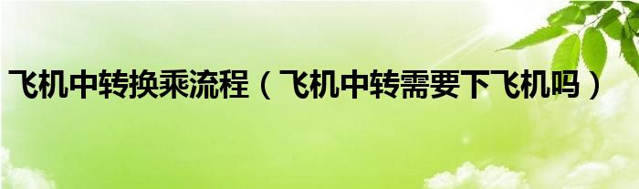 飞机中转换乘流程（飞机中转需要下飞机吗）