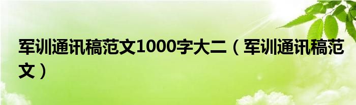 军训通讯稿范文1000字大二（军训通讯稿范文）