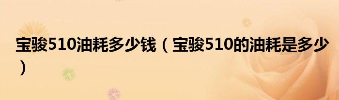 宝骏510油耗多少钱（宝骏510的油耗是多少）