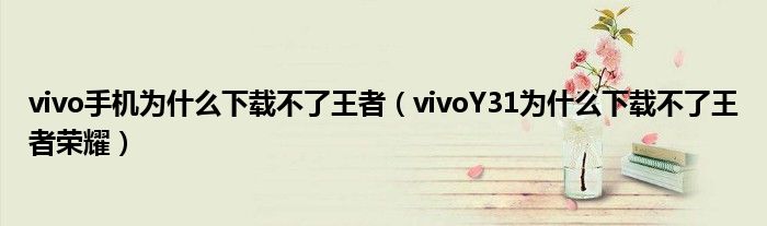 vivo手机为什么下载不了王者（vivoY31为什么下载不了王者荣耀）