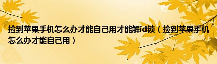 捡到苹果手机怎么办才能自己用才能解id锁（捡到苹果手机怎么办才能自己用）