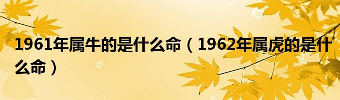 1961年属牛的是什么命（1962年属虎的是什么命）