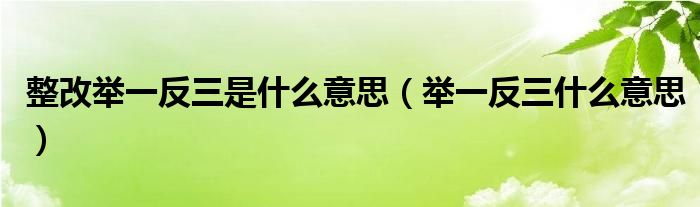 整改举一反三是什么意思（举一反三什么意思）