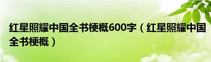 红星照耀中国全书梗概600字（红星照耀中国全书梗概）