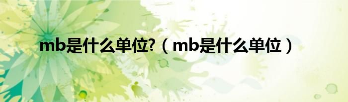 mb是什么单位?（mb是什么单位）