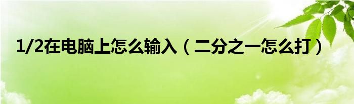 1/2在电脑上怎么输入（二分之一怎么打）