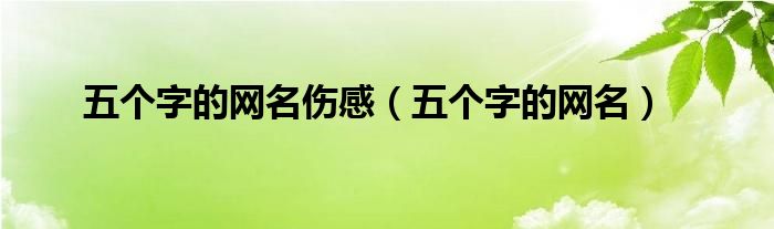 五个字的网名伤感（五个字的网名）