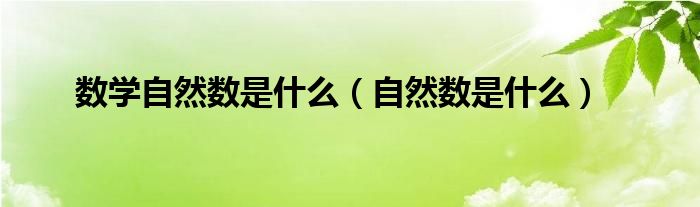 数学自然数是什么（自然数是什么）