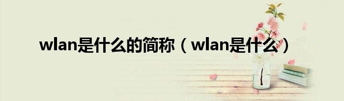 wlan是什么的简称（wlan是什么）