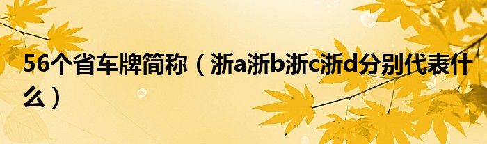 56个省车牌简称（浙a浙b浙c浙d分别代表什么）